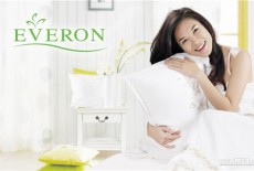 Tổng kết năm 2015, Everpia trả cổ tức bằng cổ phiếu tỷ lệ 50%