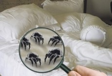 Làm gì để diệt sạch khuẩn trong chăn ga gối đệm?