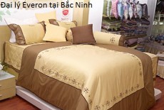 Đại lý và showroom Everon chính hãng tại Bắc Ninh