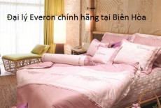 Đại lý và showroom Everon chính hãng tại Biên Hòa- Đồng Nai