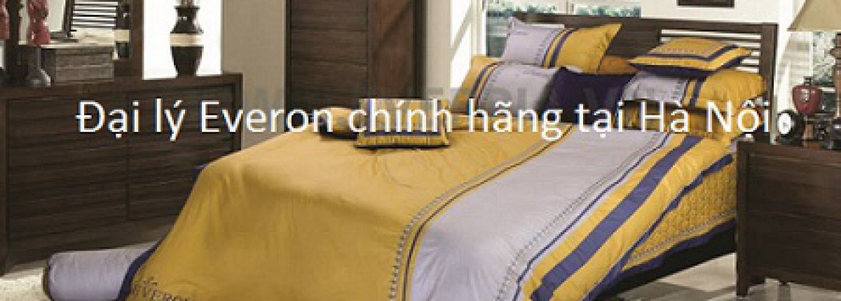 Đại lý và showroom Everon chính hãng tại Hà Đông - Hà Nội