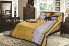 Đại lý và showroom Everon chính hãng tại Hà Đông - Hà Nội