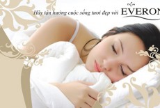 Đại lý và showroom Everon chính hãng tại Hải Phòng