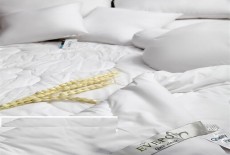 So sánh ưu/nhược điểm của các loại ruột chăn Everon