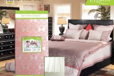 Tìm hiểu về đệm sóng Everon