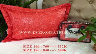 Mẫu EPTK13