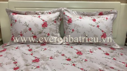 Bộ ga chun và vỏ gối APTK02