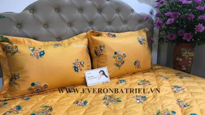 Bộ ga chun và vỏ gối TK12