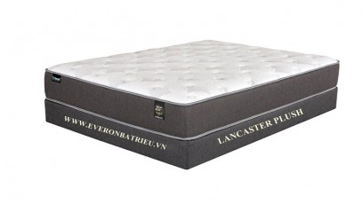 Lancaster Plush