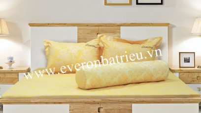 Everon EVE 15