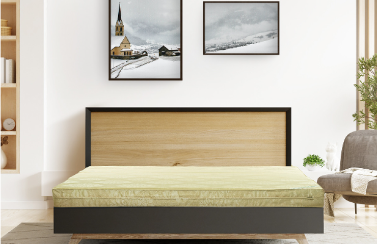 Đệm bông ép Everon