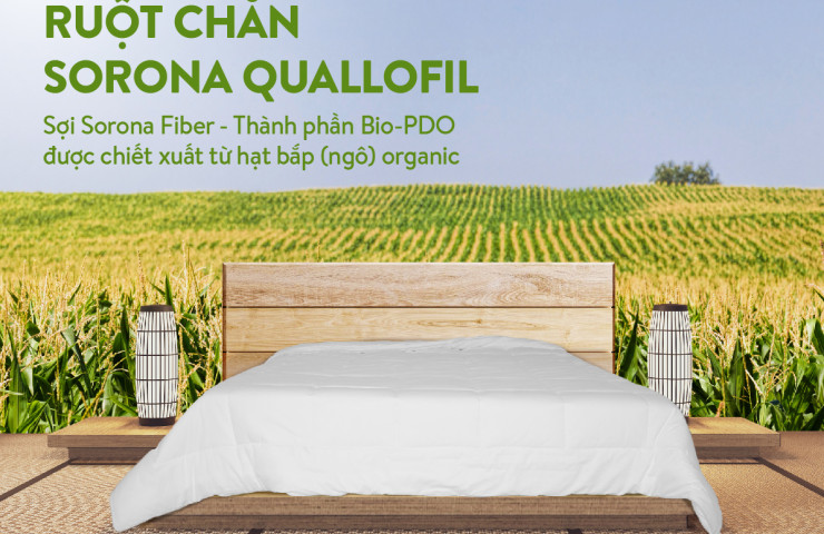 Ruột chăn Sorona Quallofil