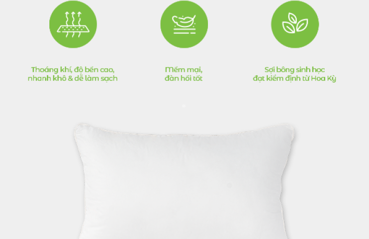 Ruột gối cao cấp Sorona Quallofil