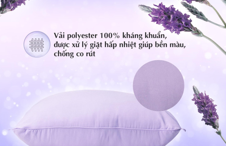 Ruột gối Lavender