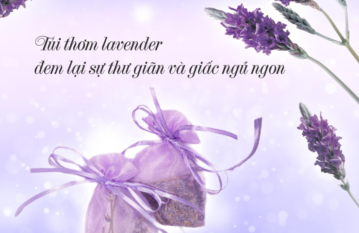 Ruột gối Lavender