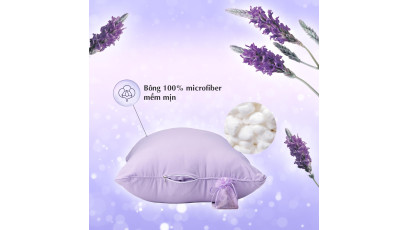 Ruột gối Lavender