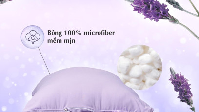 Ruột gối Lavender